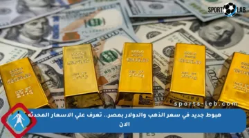 هبوط جديد في سعر الذهب والدولار بمصر.. تعرف على الأسعار المحدثة الآن